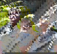 Koala Cuddle Adventure Croc 2