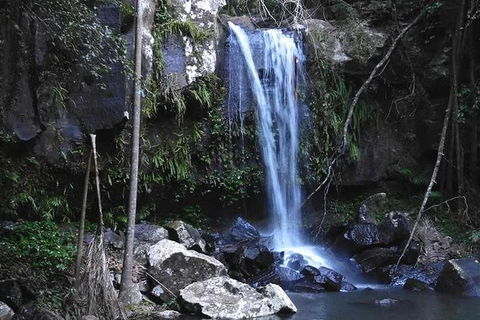 You Choose The Tour: Brisbane Private Chauffeur Driven Personal Tour - Melbourne Tourism 0