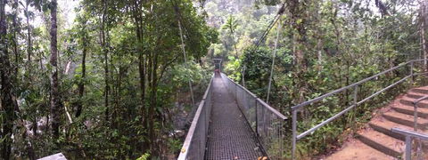 Cape Tribulation, Mossman Gorge, And Daintree Rainforest Day Trip From Cairns Or Port Douglas - Melbourne Tourism 4