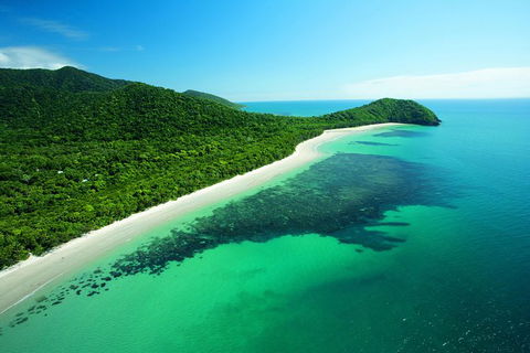 Cape Tribulation, Mossman Gorge, And Daintree Rainforest Day Trip From Cairns Or Port Douglas - Melbourne Tourism 0