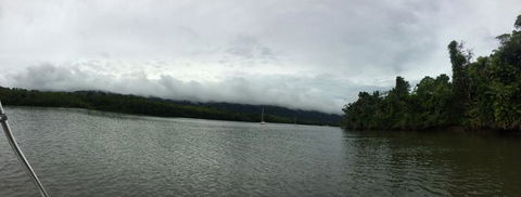 Cape Tribulation, Mossman Gorge, And Daintree Rainforest Day Trip From Cairns Or Port Douglas - Melbourne Tourism 3