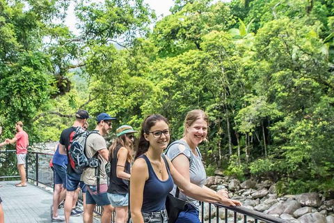Cape Tribulation, Mossman Gorge, And Daintree Rainforest Day Trip From Cairns Or Port Douglas - Melbourne Tourism 15