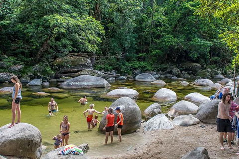 Cape Tribulation, Mossman Gorge, And Daintree Rainforest Day Trip From Cairns Or Port Douglas - Melbourne Tourism 14