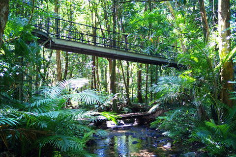 Cape Tribulation, Mossman Gorge, And Daintree Rainforest Day Trip From Cairns Or Port Douglas - Melbourne Tourism 7