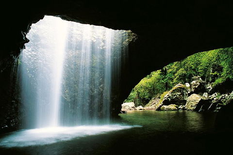 World Heritage Springbrook National Park Tour Including Natural Bridge - Melbourne Tourism 0