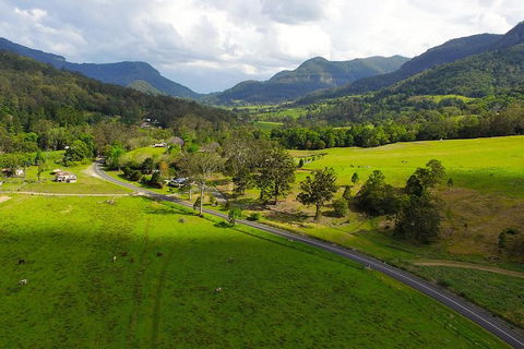 World Heritage Springbrook National Park Tour Including Natural Bridge - Melbourne Tourism 4