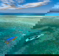 Ocean Safari Great Barrier Reef Experience in Cape Tribulation - Melbourne Tourism