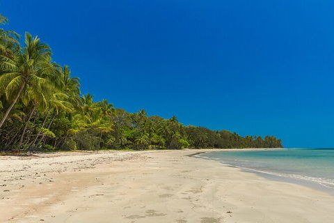 Ocean Safari Great Barrier Reef Experience In Cape Tribulation - Melbourne Tourism 3
