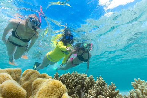 Ocean Safari Great Barrier Reef Experience In Cape Tribulation - Melbourne Tourism 4
