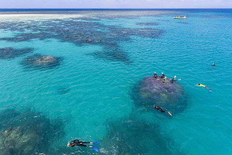 Ocean Safari Great Barrier Reef Experience In Cape Tribulation - Melbourne Tourism 12