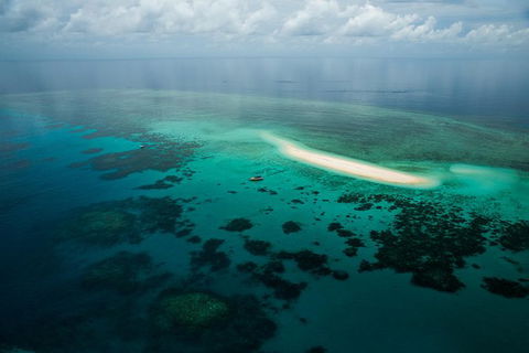 Ocean Safari Great Barrier Reef Experience In Cape Tribulation - Melbourne Tourism 16