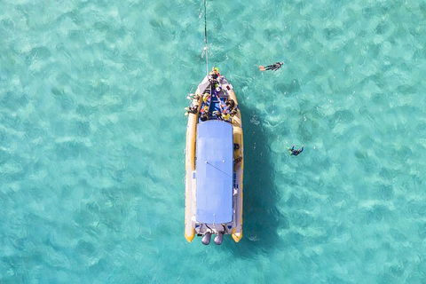 Ocean Safari Great Barrier Reef Experience In Cape Tribulation - Melbourne Tourism 17