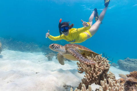 Ocean Safari Great Barrier Reef Experience In Cape Tribulation - Melbourne Tourism 13