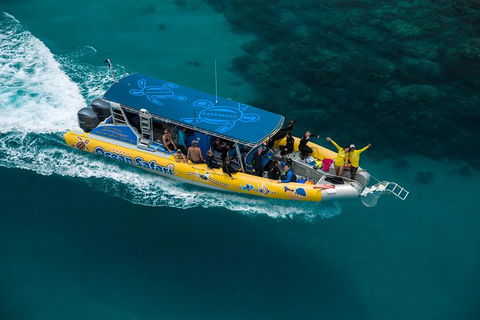Ocean Safari Great Barrier Reef Experience In Cape Tribulation - Melbourne Tourism 9