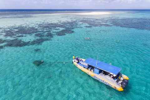 Ocean Safari Great Barrier Reef Experience In Cape Tribulation - Melbourne Tourism 11