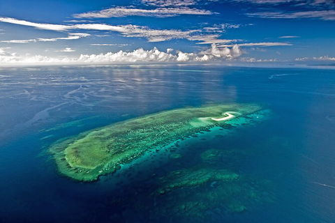 Ocean Safari Great Barrier Reef Experience In Cape Tribulation - Melbourne Tourism 15