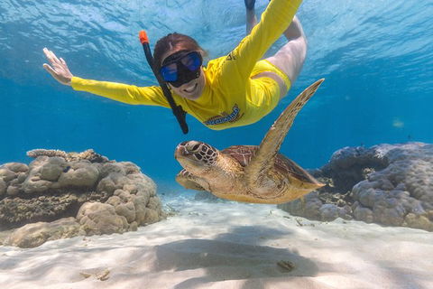 Ocean Safari Great Barrier Reef Experience In Cape Tribulation - Melbourne Tourism 2