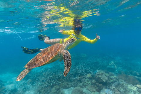 Ocean Safari Great Barrier Reef Experience In Cape Tribulation - Melbourne Tourism 14