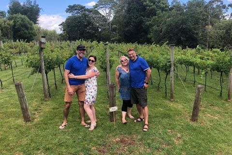 Full Day Mount Tamborine Winery Tour From Gold Coast - Melbourne Tourism 6