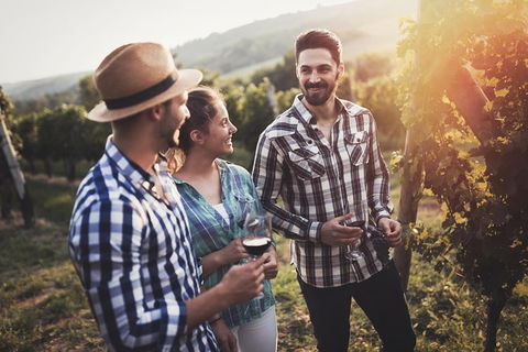 Full Day Mount Tamborine Winery Tour From Gold Coast - Melbourne Tourism 13