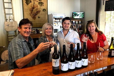 Full Day Mount Tamborine Winery Tour From Gold Coast - Melbourne Tourism 4