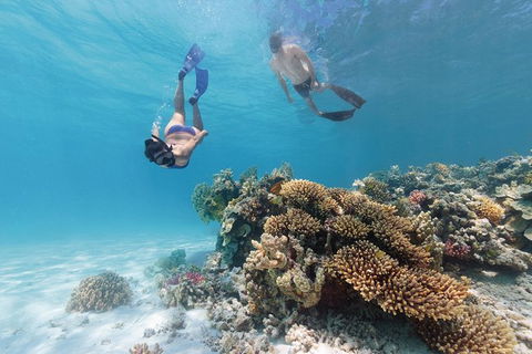 5-Day Fraser Island And Great Barrier Reef Tour - Melbourne Tourism 1