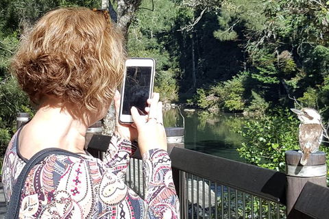 Personalised Private Platypus Land Tour - Melbourne Tourism 1