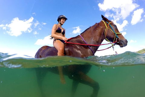 Horse Swimming Ride From Rainbow Beach - Melbourne Tourism 1