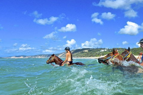 Horse Swimming Ride From Rainbow Beach - Melbourne Tourism 0