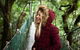 O\'Reilly\'s & Lamington National Park Incl. Alpaca Farm + Vineyard - thumb 2