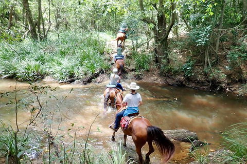 Country Day Ride From Mt Goomboorian With Rainbow Beach Horse Rides - Melbourne Tourism 1