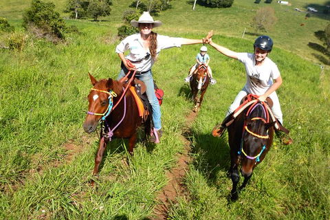 Country Day Ride From Mt Goomboorian With Rainbow Beach Horse Rides - Melbourne Tourism 0