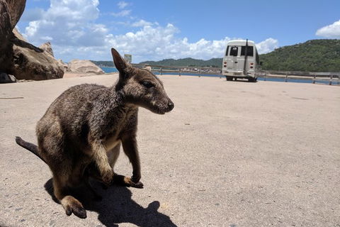 Magnetic Island Tour: Maggie Comprehensive - Melbourne Tourism 0
