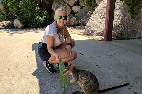 Magnetic Island Tour: Maggie Comprehensive - Melbourne Tourism 9