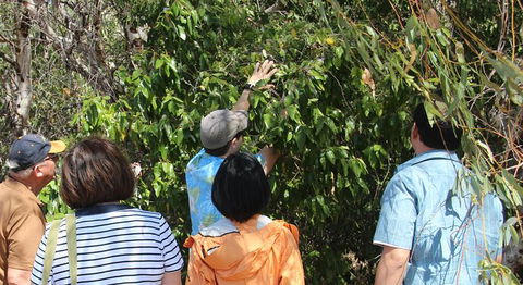 Magnetic Island Tour: Maggie Comprehensive - Melbourne Tourism 6