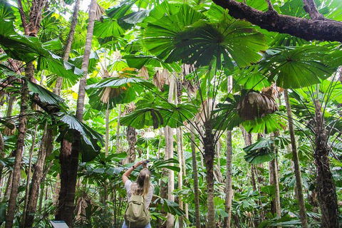 Cape Tribulation, Daintree Rainforest And Wildlife Tour - Melbourne Tourism 0