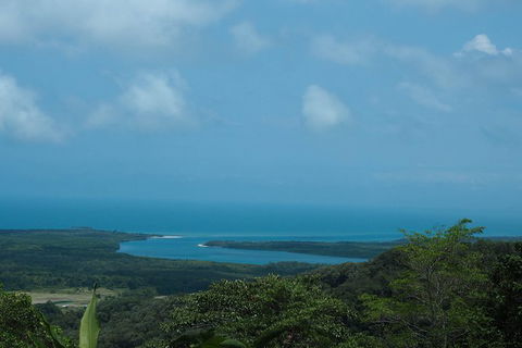 Cape Tribulation, Daintree Rainforest And Wildlife Tour - Melbourne Tourism 7