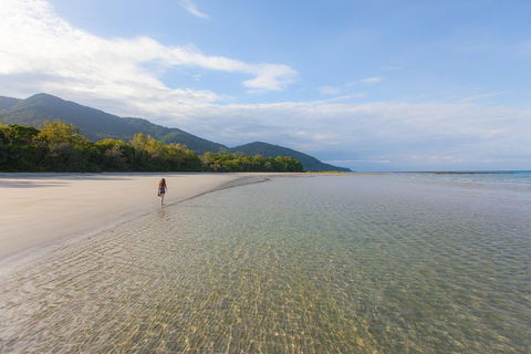Cape Tribulation, Daintree Rainforest And Wildlife Tour - Melbourne Tourism 6