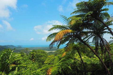 Cape Tribulation, Daintree Rainforest And Wildlife Tour - Melbourne Tourism 5