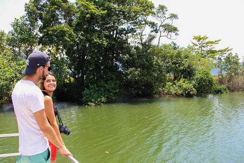 Cape Tribulation, Daintree Rainforest And Wildlife Tour - Melbourne Tourism 8
