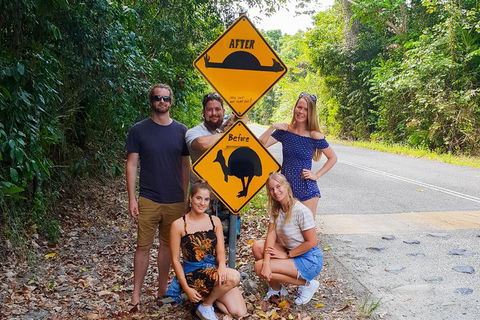 Cape Tribulation, Daintree Rainforest And Wildlife Tour - Melbourne Tourism 10