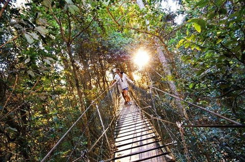 O'Reilly's Lamington National Park And Treetop Canopy Tour - Melbourne Tourism 0