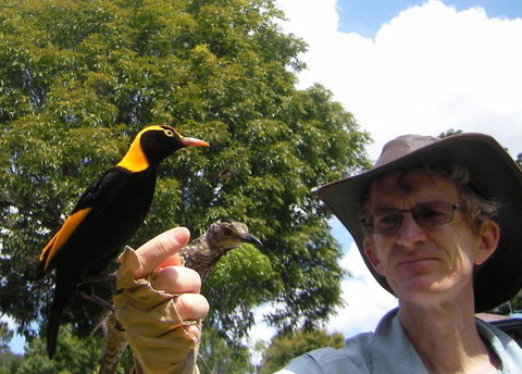 O'Reilly's Lamington National Park And Treetop Canopy Tour - Melbourne Tourism 4
