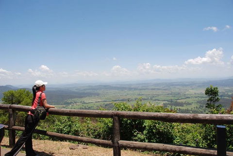 O'Reilly's Lamington National Park And Treetop Canopy Tour - Melbourne Tourism 6