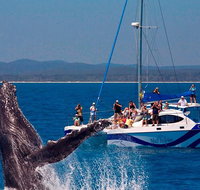 Blue Dolphin Exclusive Whale Watch Encounters
