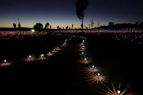 Uluru Field Of Light Sunrise Tour - Melbourne Tourism 2