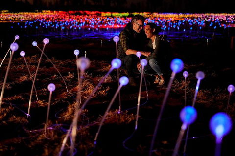 Uluru Field Of Light Sunrise Tour - Melbourne Tourism 6