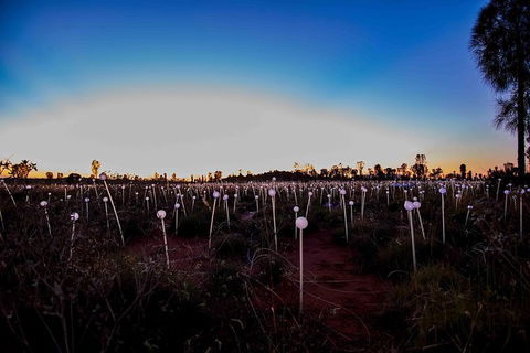Uluru Field Of Light Sunrise Tour - Melbourne Tourism 8