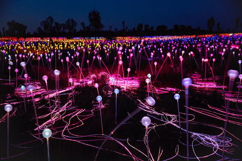 Uluru Field Of Light Sunrise Tour - Melbourne Tourism 13