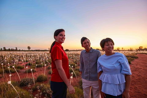 Uluru Field Of Light Sunrise Tour - Melbourne Tourism 11